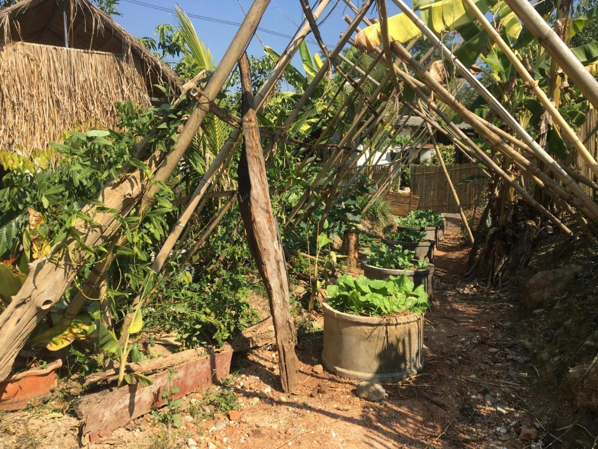 Thong Family Homestay Chiangdao เชียงดาว ภายนอก รูปภาพ