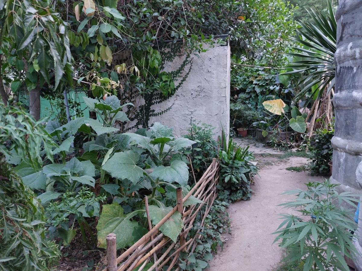 Thong Family Homestay Chiangdao เชียงดาว ภายนอก รูปภาพ
